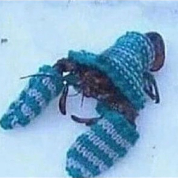 worryingsine